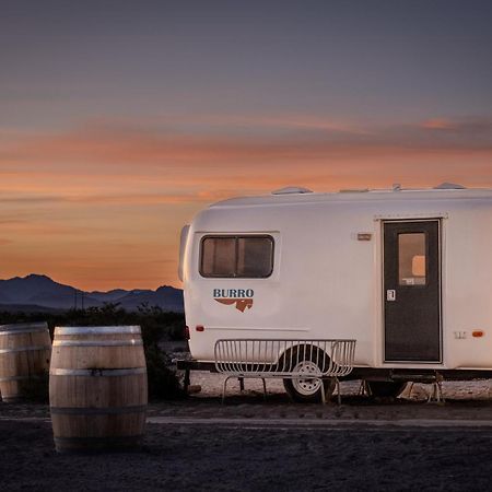 Tarantula Ranch Campground & Vineyard Near Death Valley National Park Амаргоса Вали Екстериор снимка