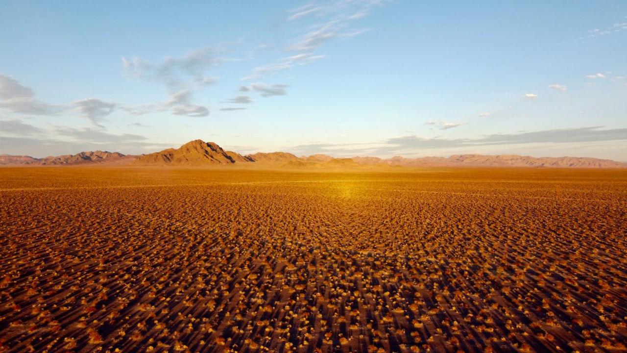 Tarantula Ranch Campground & Vineyard Near Death Valley National Park Амаргоса Вали Екстериор снимка