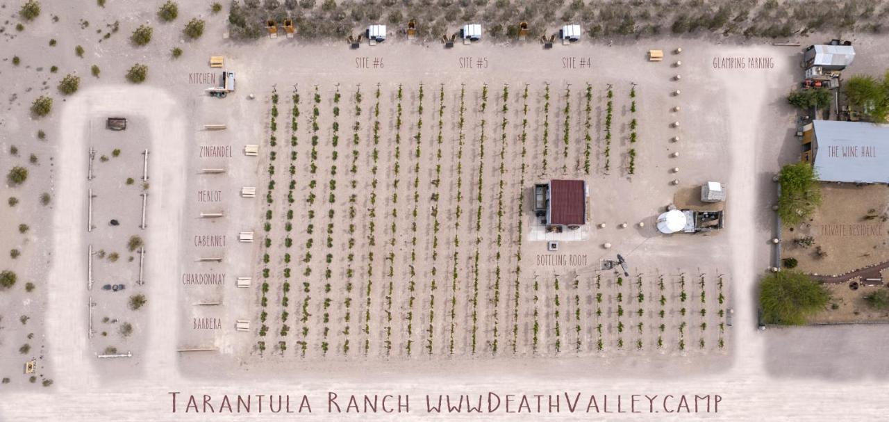 Tarantula Ranch Campground & Vineyard Near Death Valley National Park Амаргоса Вали Екстериор снимка